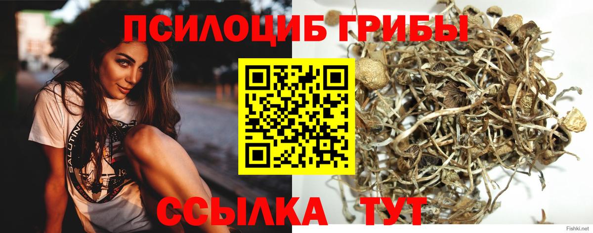 Псилоцибиновые грибы ЛСД  Вход с VPN  Гурьевск 